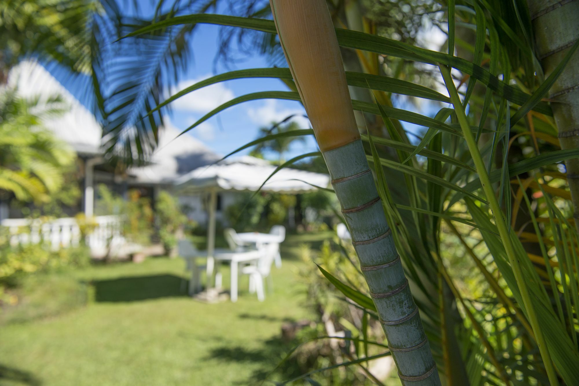 Auberge Chez Plume Anse Boileau エクステリア 写真