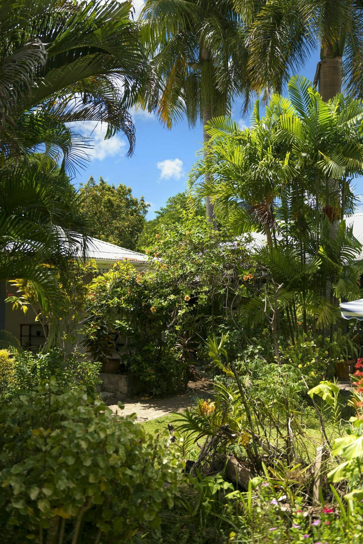 Auberge Chez Plume Anse Boileau エクステリア 写真